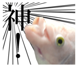 Huge tropical fish sticker #13788181