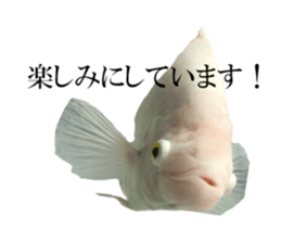 Huge tropical fish sticker #13788183