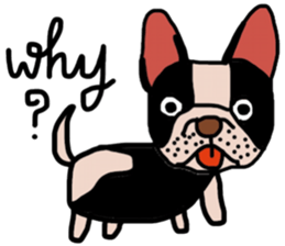 Ma Baa - The crazy dog II sticker #13788568
