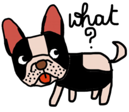 Ma Baa - The crazy dog II sticker #13788569