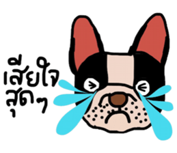 Ma Baa - The crazy dog II sticker #13788573