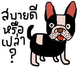 Ma Baa - The crazy dog II sticker #13788579