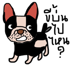 Ma Baa - The crazy dog II sticker #13788581
