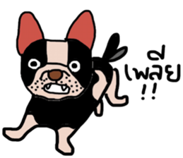 Ma Baa - The crazy dog II sticker #13788583