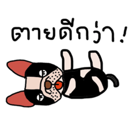 Ma Baa - The crazy dog II sticker #13788587