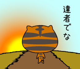 An affected tiger kitten. sticker #13789210