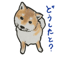 Kitakyusyu animals sticker #13790111