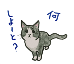 Kitakyusyu animals sticker #13790112