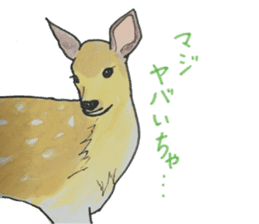 Kitakyusyu animals sticker #13790127