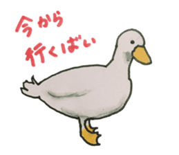 Kitakyusyu animals sticker #13790138