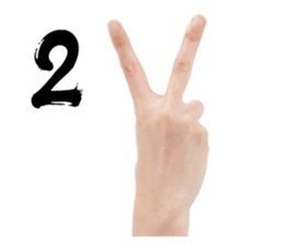 Hand Gestures sticker #13790416