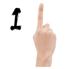 Hand Gestures sticker #13790417