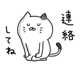 Sticker for cat lovers 5 sticker #13791552