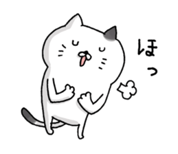 Sticker for cat lovers 5 sticker #13791563