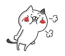 Sticker for cat lovers 5 sticker #13791572