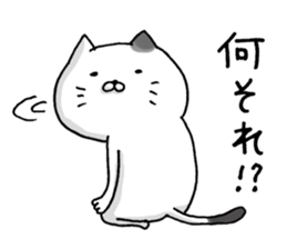 Sticker for cat lovers 5 sticker #13791575