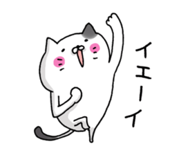 Sticker for cat lovers 5 sticker #13791581