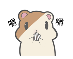 Hamster Count sticker #13791659