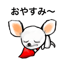 My boss of Chihuahua sticker #13793957