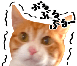 Bossy cat,POPO 2 sticker #13794735
