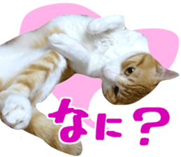 Bossy cat,POPO 2 sticker #13794741