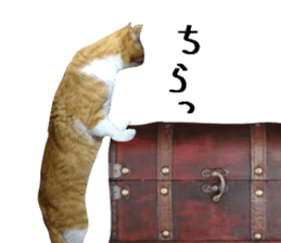 Bossy cat,POPO 2 sticker #13794753