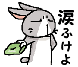 I'm gray rabbit ! 3 sticker #13795952