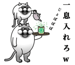 lol cat sticker #13796458