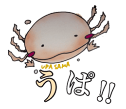 Feast of the month sticker #13797825