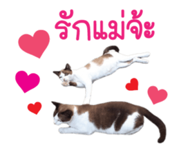 Meow! I am a Cat 2 sticker #13797960