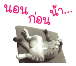 Meow! I am a Cat 2 sticker #13797968