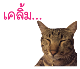 Meow! I am a Cat 2 sticker #13797971