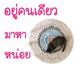 Meow! I am a Cat 3 sticker #13798087