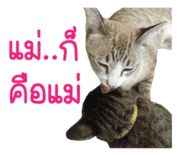 Meow! I am a Cat 3 sticker #13798094