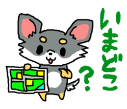 Chihuahua's Sticker ver.2 sticker #13798102