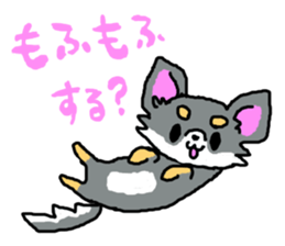 Chihuahua's Sticker ver.2 sticker #13798105