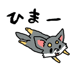 Chihuahua's Sticker ver.2 sticker #13798107