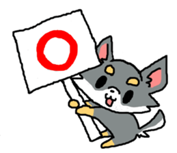 Chihuahua's Sticker ver.2 sticker #13798116