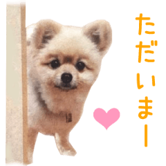 Real DOG Wan de FULL