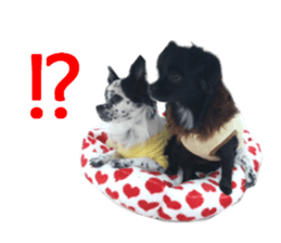 Real DOG Wan de FULL sticker #13798382