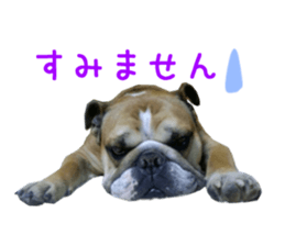 Real DOG Wan de FULL sticker #13798385