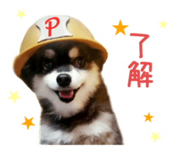 Real DOG Wan de FULL sticker #13798387