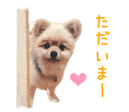 Real DOG Wan de FULL sticker #13798397