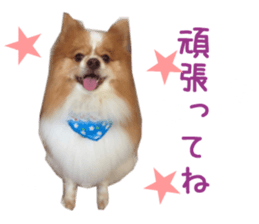 Real DOG Wan de FULL sticker #13798399