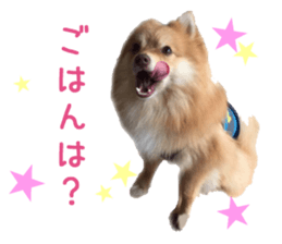 Real DOG Wan de FULL sticker #13798400