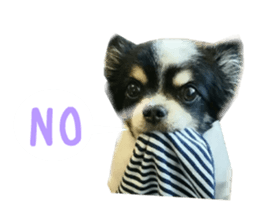 Real DOG Wan de FULL sticker #13798402