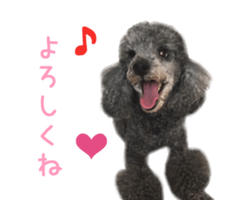 Real DOG Wan de FULL sticker #13798405