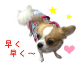 Real DOG Wan de FULL sticker #13798407