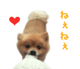 Real DOG Wan de FULL sticker #13798408