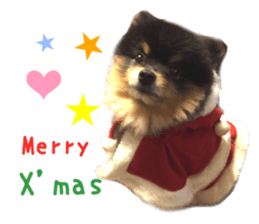 Real DOG Wan de FULL sticker #13798410